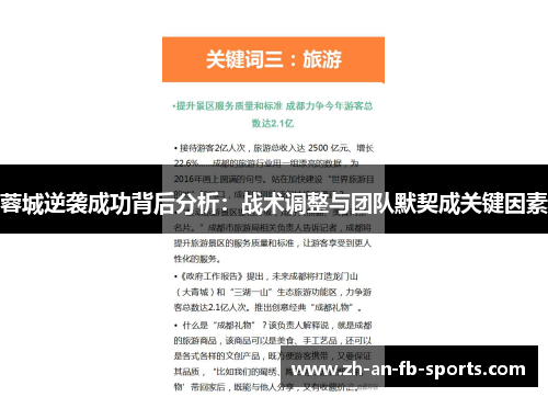 蓉城逆袭成功背后分析：战术调整与团队默契成关键因素