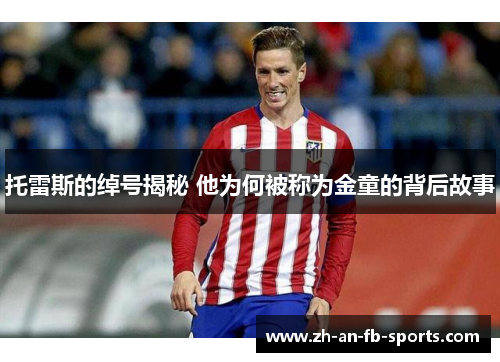 托雷斯的绰号揭秘 他为何被称为金童的背后故事