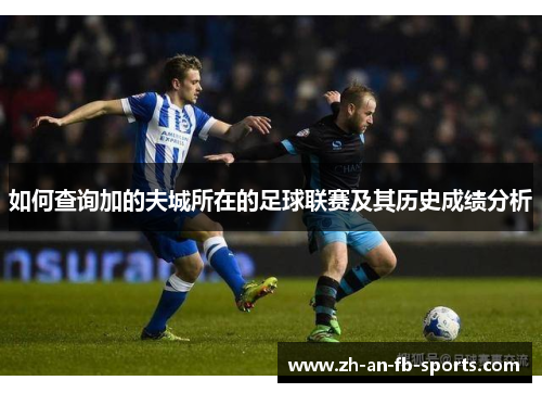 如何查询加的夫城所在的足球联赛及其历史成绩分析